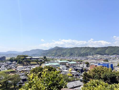 IMG_6679.jpg