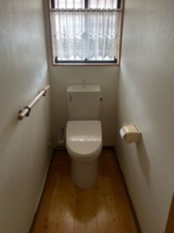 Pic3