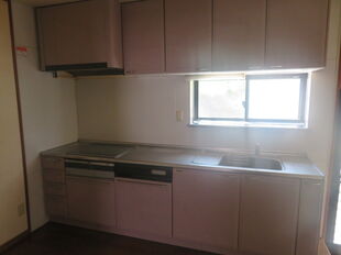 Pic11