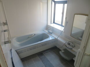 Pic15