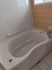 １Ｆシステムバス