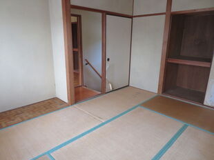 Pic11
