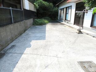 Pic1