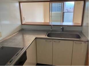 Pic11