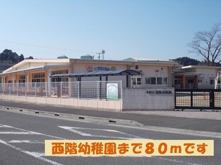 Pic6