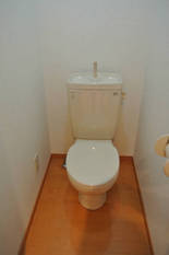 Pic11
