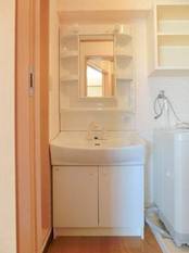 シャンプードレッサー