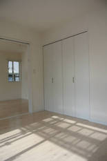Pic1