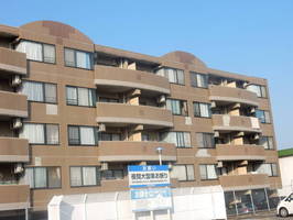 スカイ・フォレスト・レジデンス（延岡市　柚ノ木田町）＜2LDK＞