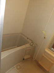 Pic3