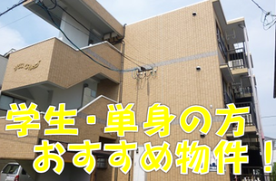 サウスヴィレッジ (延岡市 萩町)<1R>