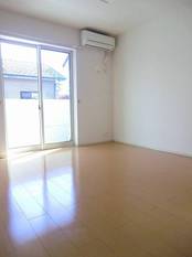 Pic1