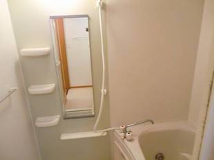 Pic3