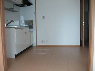Pic1