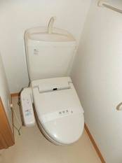 Pic11
