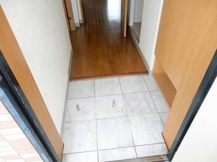 Pic1