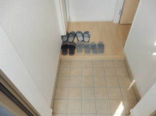 Pic1