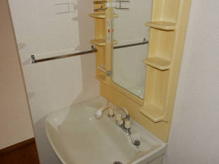 シャンプードレッサー