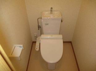 Pic41