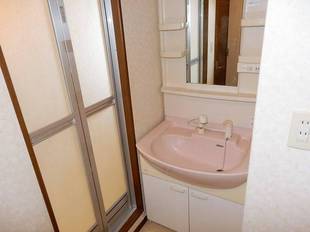 シャンプードレッサー