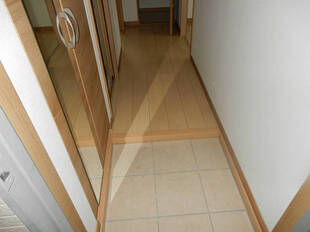 Pic1