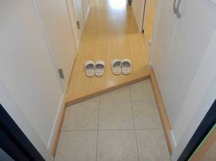 Pic1