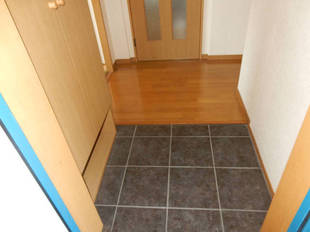 Pic1
