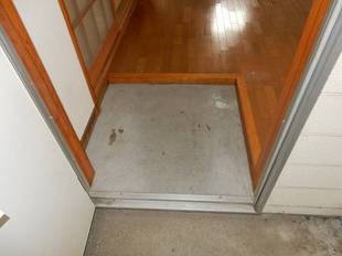 Pic1