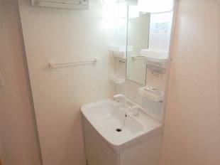 シャンプードレッサー