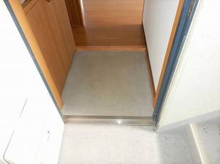 Pic1