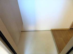 Pic1
