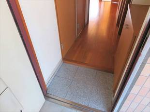 Pic1