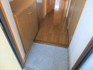 Pic1