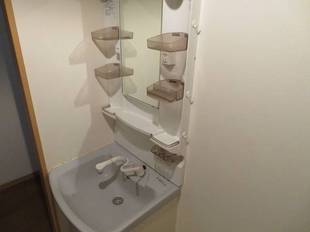 シャンプードレッサー