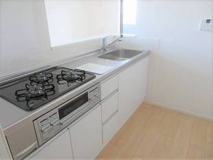 Pic7