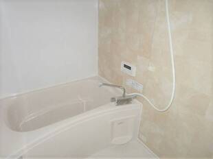 Pic15