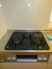 Pic11