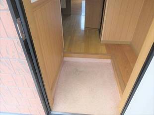 Pic1
