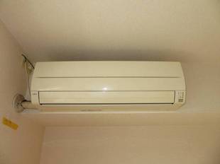 Pic19