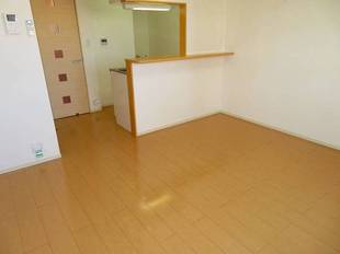 Pic11