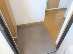Pic1
