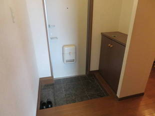 Pic1