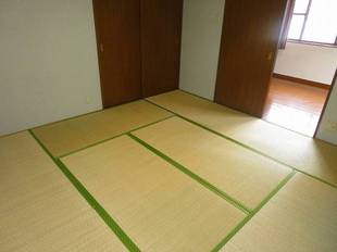Pic8