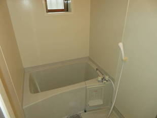 Pic41