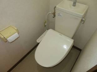 Pic15