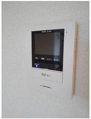 Pic11