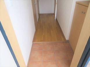 Pic1