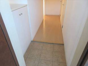 Pic1