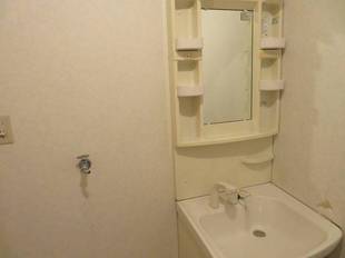 シャンプードレッサー