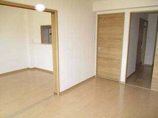 Pic11